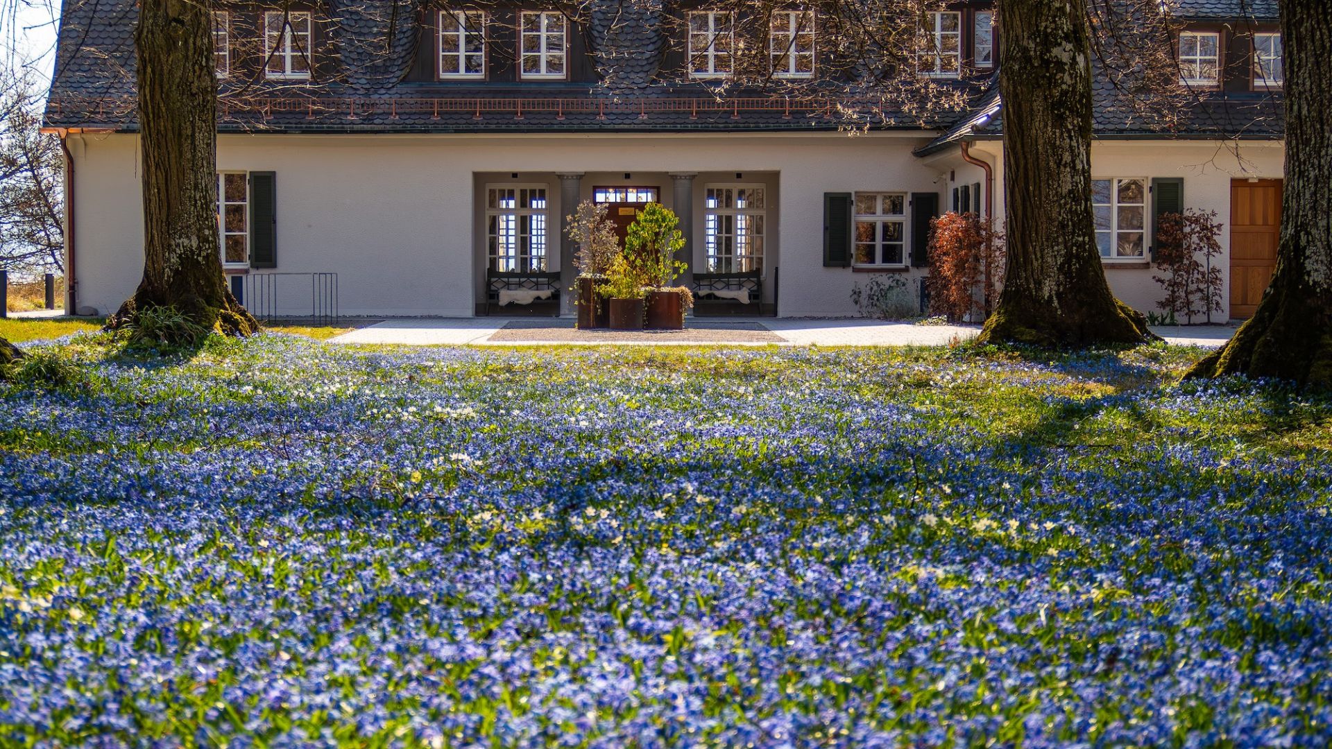 Springtime by Lake Constance in Friedrichshafen – Seegut Zeppelin