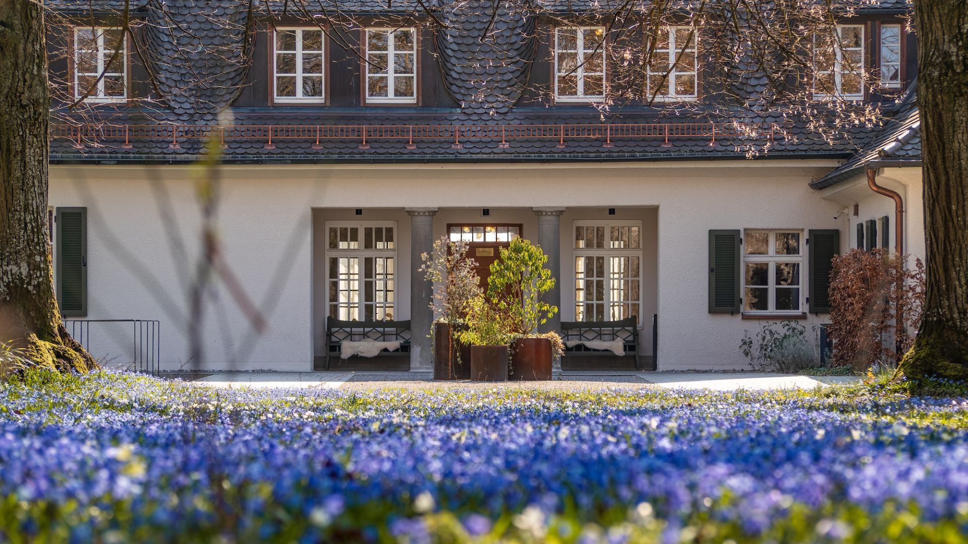 Spring blossoms on the Lake Constance shore in Friedrichshafen – Seegut Zeppelin