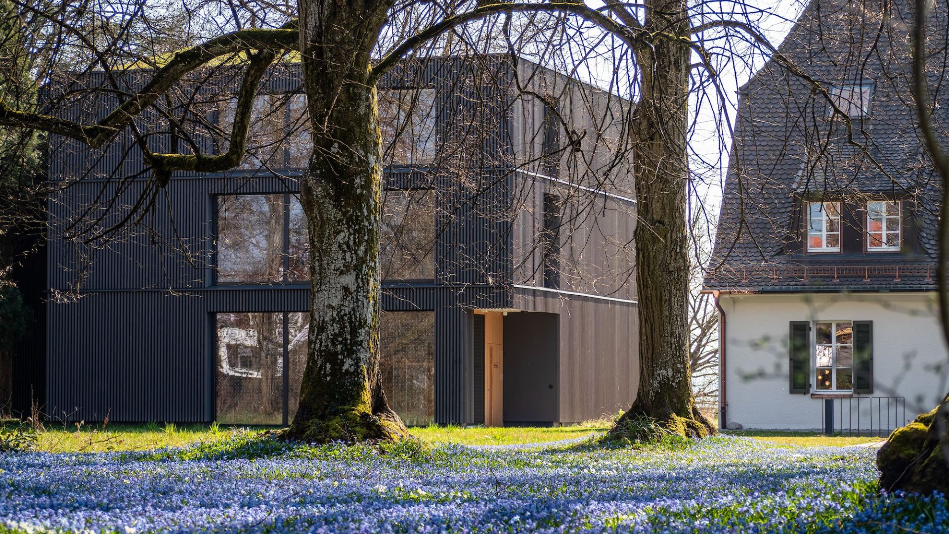 Lakeside park in spring at Seegut Zeppelin in Friedrichshafen