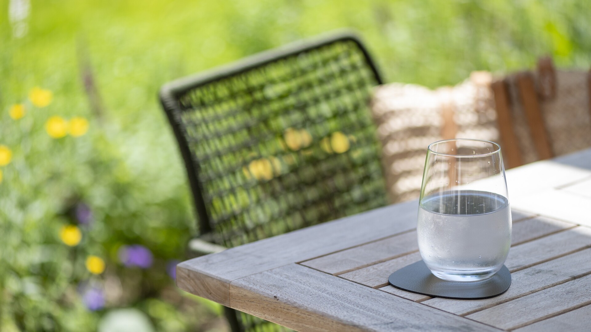Wasserglas auf einem Holztisch vor einer Wildblumenwiese am Seegut Zeppelin