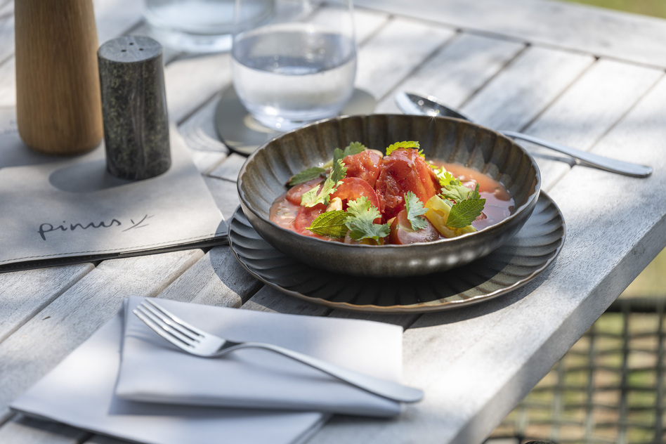 Sommerliches Tomatengericht in dunkler Schale auf einem Tisch im Restaurant Pinus des Seegut Zeppelin
