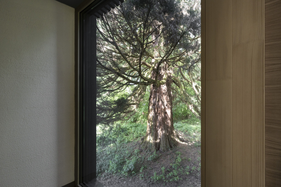 Waldzimmer im Seegut Zeppelin mit Holzverkleidung und großem Fenster mit Blick auf einen Bergmammut