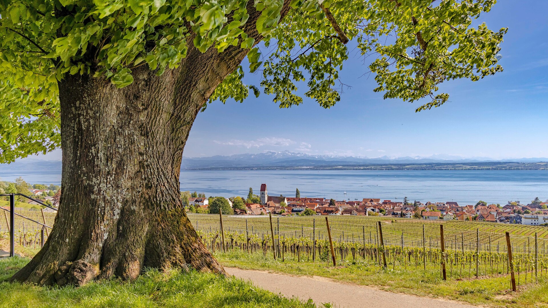 Bodensee intensiv Hiking trail near Lake Constance