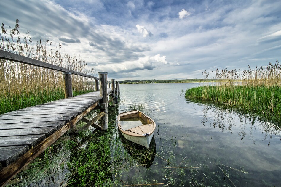 Holzsteg mit kleinem Ruderboot im Schilf am Ufer des Bodensees